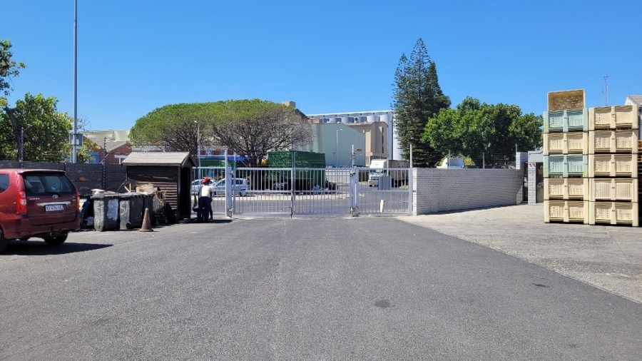 To Let Commercial Property for Rent in Epping Industrial Western Cape